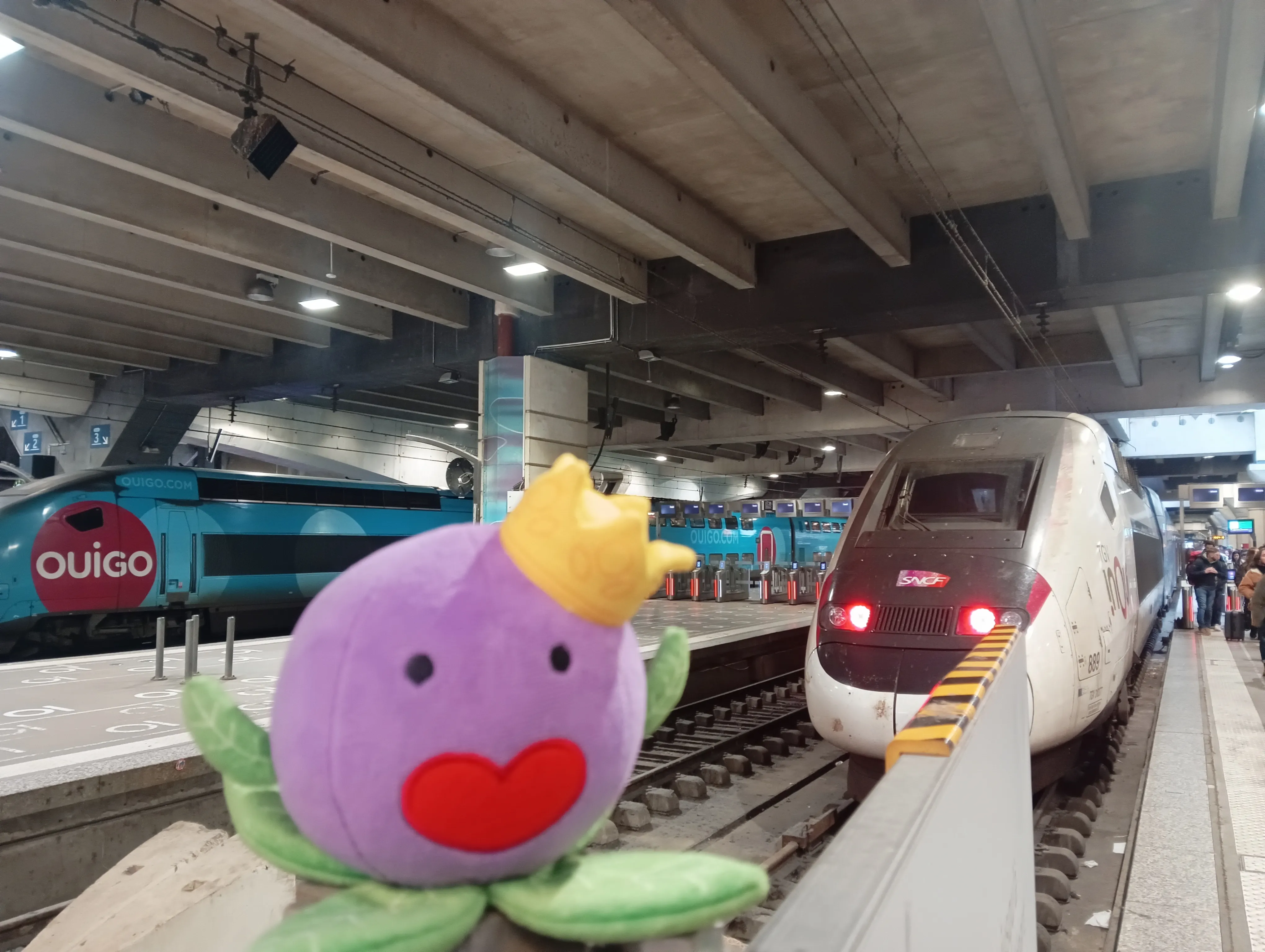 モンサンミッシェルTGVのイメージサムネイル画像